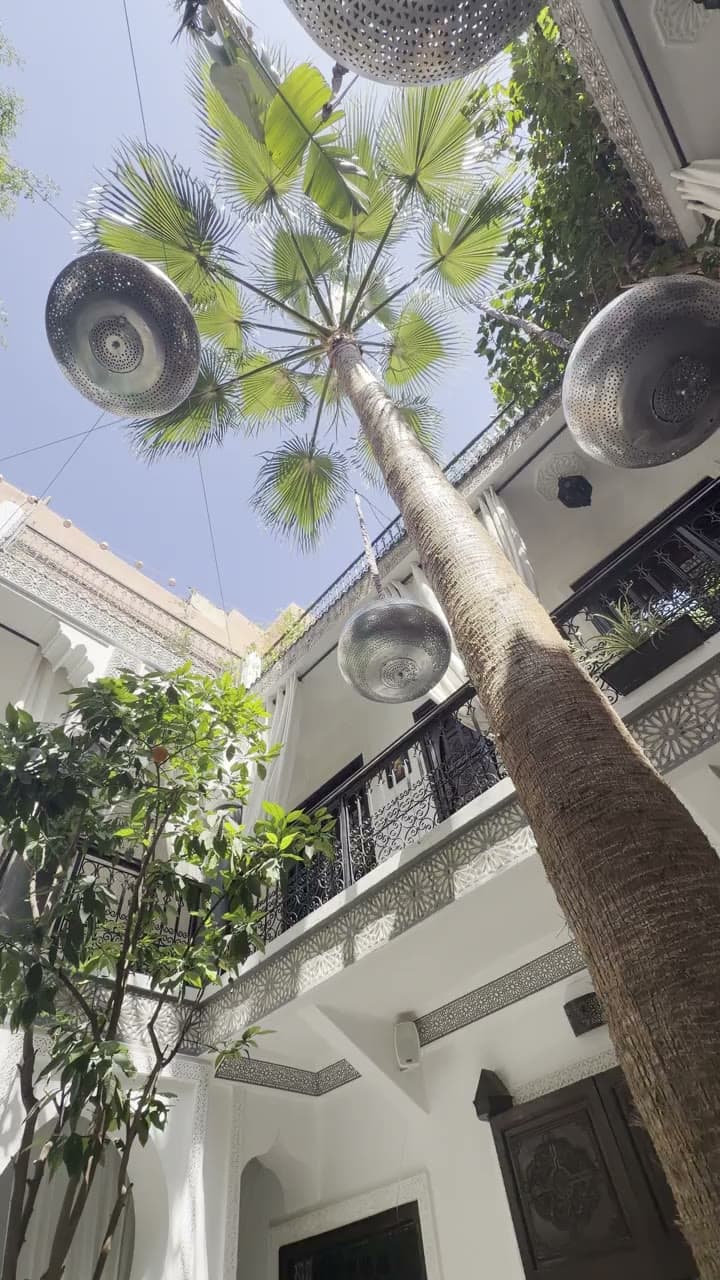 Le palmier du patio — Marrakech — cœur de riad